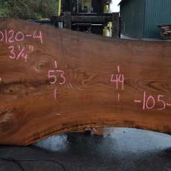 Goby Walnut Products Green Slabs Elm Slab 010120-04