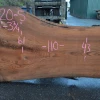 Goby Walnut Products Green Slabs Elm Slab 010120-05