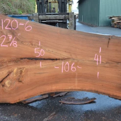 Goby Walnut Products Elm Slab 010120-06