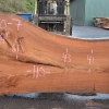Goby Walnut Products Green Slabs Elm Slab 010120-07