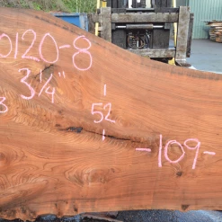 Goby Walnut Products Elm Slab 010120-08 Green Slabs