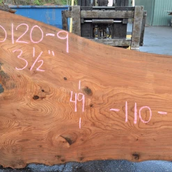 Goby Walnut Products Elm Slab 010120-09 Green Slabs