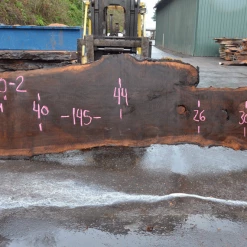 Goby Walnut Products Oregon Black Walnut Slab 010220-02 Green Slabs