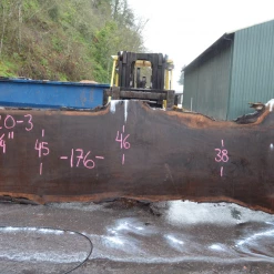 Goby Walnut Products Oregon Black Walnut Slab 010220-03 Green Slabs