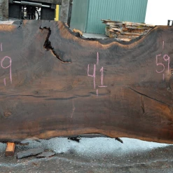 Goby Walnut Products Oregon Black Walnut Slab 010220-08
