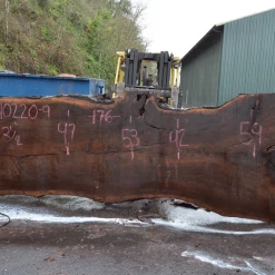 Goby Walnut Products Green Slabs Oregon Black Walnut Slab 010220-09
