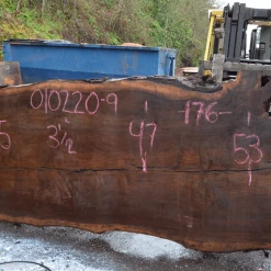 Goby Walnut Products Green Slabs Oregon Black Walnut Slab 010220-09