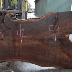 Goby Walnut Products Green Slabs Oregon Black Walnut Slab 010220-09