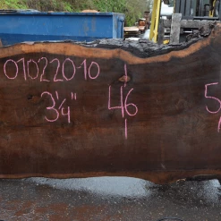 Goby Walnut Products Green Slabs Oregon Black Walnut Slab 010220-10