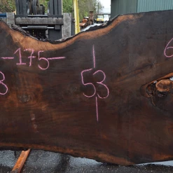 Goby Walnut Products Green Slabs Oregon Black Walnut Slab 010220-10