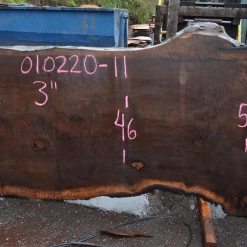 Goby Walnut Products Green Slabs Oregon Black Walnut Slab 010220-11