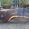 Goby Walnut Oregon Black Walnut Slab 010715-04