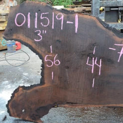 Goby Walnut 011519-01 Oregon Black Walnut Slab Green Slabs