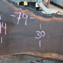 Goby Walnut 011519-01 Oregon Black Walnut Slab Green Slabs