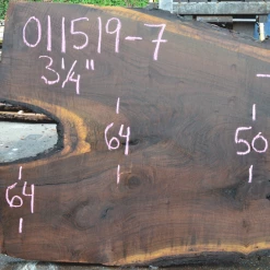 Goby Walnut 011519-07 Oregon Black Walnut Slab