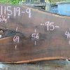 Goby Walnut 011519-09 Oregon Black Walnut Slab Green Slabs