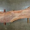 Goby Walnut Green Slabs Oregon Black Walnut Slab 012118-3