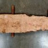 Goby Walnut Big Leaf Maple Slab 012121-7