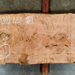 Goby Walnut Big Leaf Maple Slab 012121-7