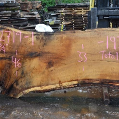 Goby Walnut Products 012719-01 Oregon White Oak Slab