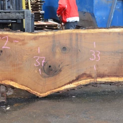 Goby Walnut Products 012719-04 Oregon White Oak Slab