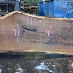 Goby Walnut Products Green Slabs 012719-07 Oregon White Oak Slab