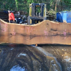 Goby Walnut Products 012719-08 Oregon White Oak Slab Green Slabs