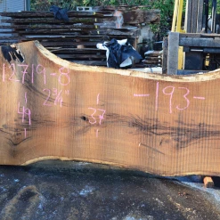 Goby Walnut Products 012719-08 Oregon White Oak Slab Green Slabs