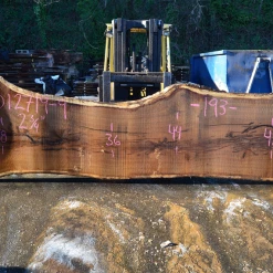 Goby Walnut Products 012719-09 Oregon White Oak Slab Green Slabs