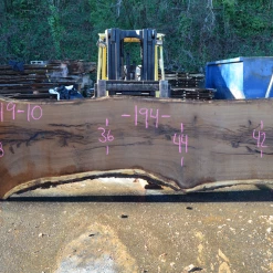 Goby Walnut Products 012719-10 Oregon White Oak Slab Green Slabs