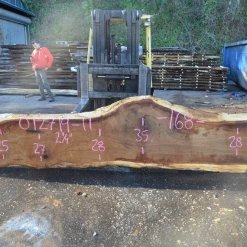 Goby Walnut Products Green Slabs 012719-11 Oregon White Oak Slab