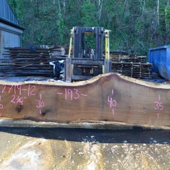 Goby Walnut Products 012719-12 Oregon White Oak Slab