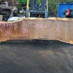 Goby Walnut Products Green Slabs 012819-01 Oregon White Oak Slab