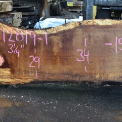 Goby Walnut Products Green Slabs 012819-01 Oregon White Oak Slab