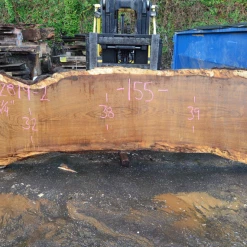 Goby Walnut Products Green Slabs 012819-02 Oregon White Oak Slab