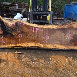 Goby Walnut Products 012819-05 Oregon White Oak Slab Green Slabs