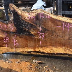 Goby Walnut Products 012819-05 Oregon White Oak Slab Green Slabs