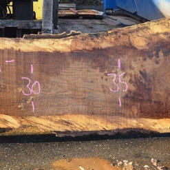 Goby Walnut Products 012819-05 Oregon White Oak Slab Green Slabs