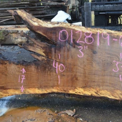 Goby Walnut Products Green Slabs 012819-06 Oregon White Oak Slab