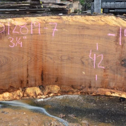 Goby Walnut Products Green Slabs 012819-07 Oregon White Oak Slab