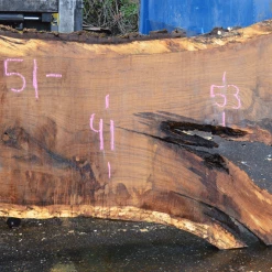 Goby Walnut Products Green Slabs 012819-07 Oregon White Oak Slab