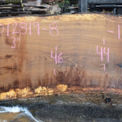 Goby Walnut Products Green Slabs 012819-08 Oregon White Oak Slab