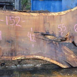 Goby Walnut Products Green Slabs 012819-08 Oregon White Oak Slab