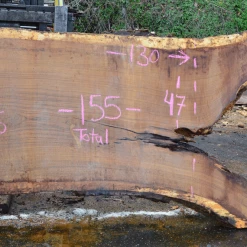 Goby Walnut Products 012819-10 Oregon White Oak Slab