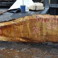 Goby Walnut Products Green Slabs 012819-12 Oregon White Oak Slab