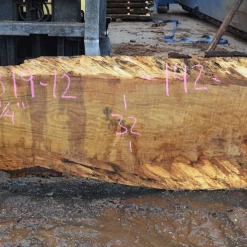Goby Walnut Products Green Slabs 012819-12 Oregon White Oak Slab