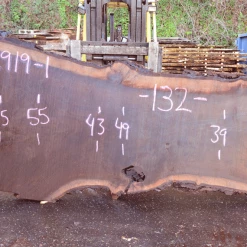 Goby Walnut Products 012919-01 Oregon Black Walnut Slab