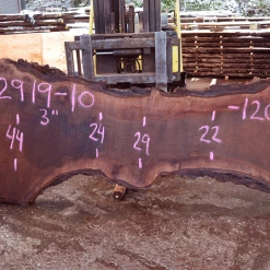 Goby Walnut Products 012919-10 Oregon Black Walnut Slab Green Slabs