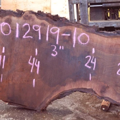 Goby Walnut Products 012919-10 Oregon Black Walnut Slab Green Slabs