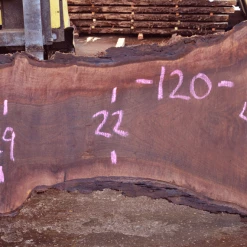 Goby Walnut Products 012919-10 Oregon Black Walnut Slab Green Slabs